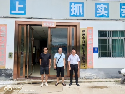 赣州市茂盛矿业有限公司寻乌县文峰乡下坪建筑用花岗岩矿砂石料开采项目新增弃土场安全预评价